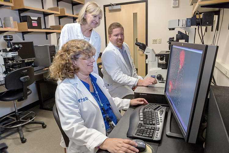 Dr. Mary Farone, seated in the foreground, Dr. Sharon Berk and MTSU doctoral candidate Brock Arivett view a graphic image of the amoebae that are part of their nearly 20-year study with Tennessee Tech researchers finding bacteria in a hot tub and cooling towers in Cookeville, Tennessee. The two bacteria species, which were named for Berk, are capable of infecting cell nuclei. (MTSU photo by J. Intintoli)