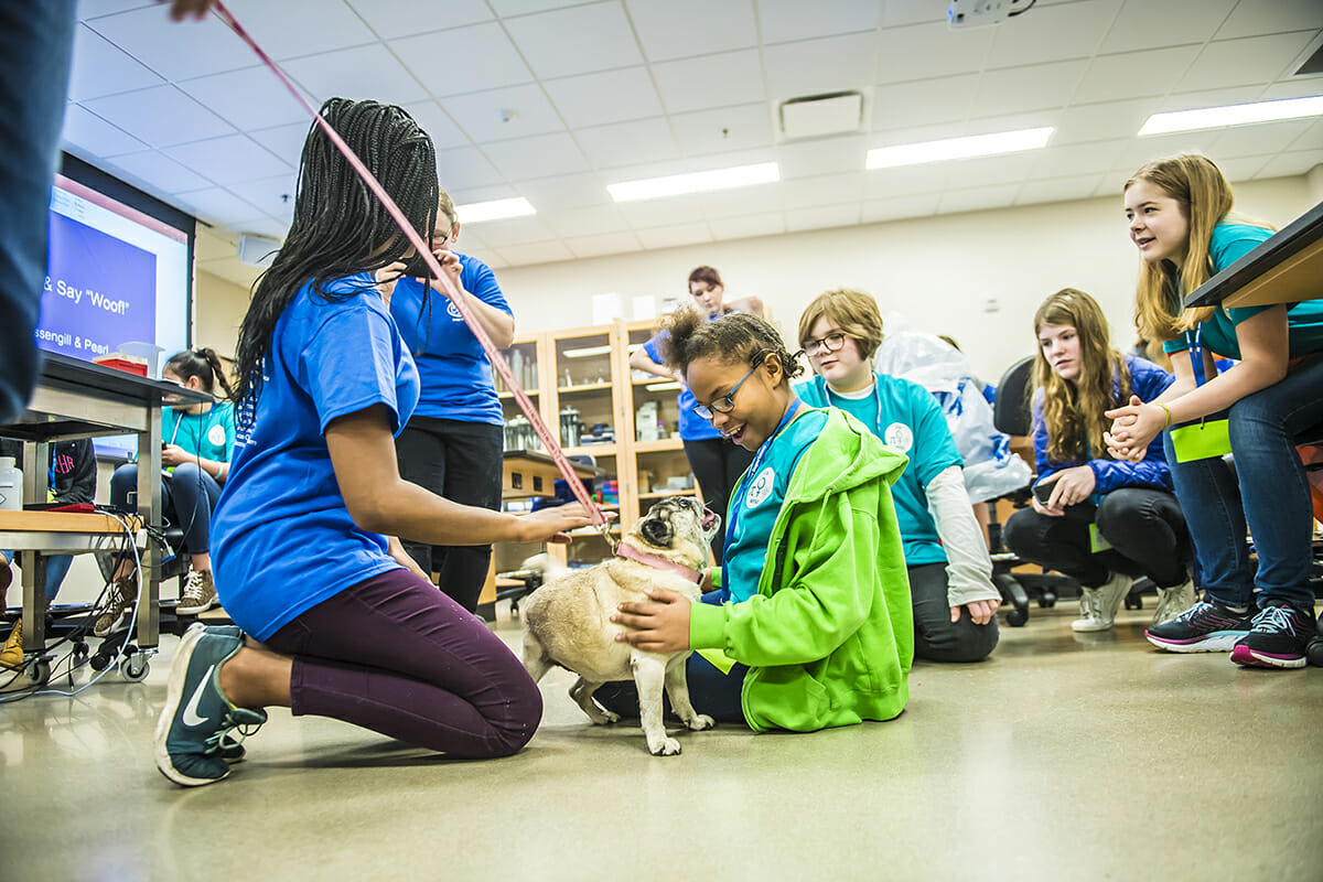 Pearl the bulldog loves the attention he's receiving from girls attending EYH at MTSU.