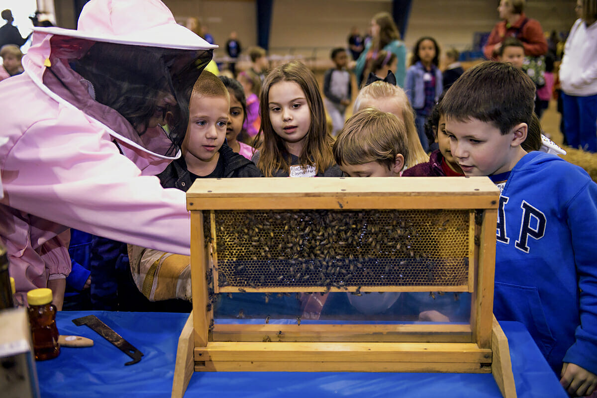 Teaching students about honey bees