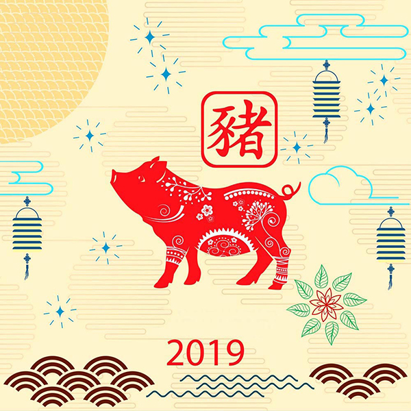 Chinese New Year 2019 , "Year of the Boar"