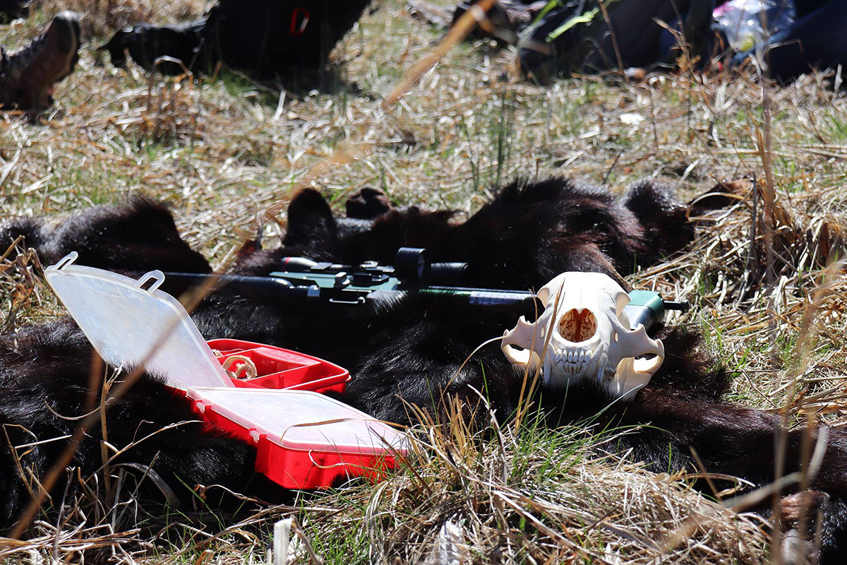 Wildlife biologist Ryan Williamson brought his show-and-tell kit to talk bear and hog management in the Great Smoky Mountains National Park during the recent “SmokyMtnU” pilot project involving MTSU students. (Submitted photo by Ashley Morris)
