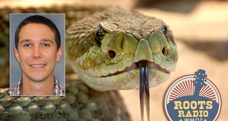 A rattlesnake glances calmly at the camera in this 2013 file photo from Pixabay. MTSU biology professor Donald Walker, left, and his students have been studying DNA from snake skins to learn if certain bacteria on the snakes’ skin are beneficial in helping the creature combat snake fungal disease. (Pixabay photo)