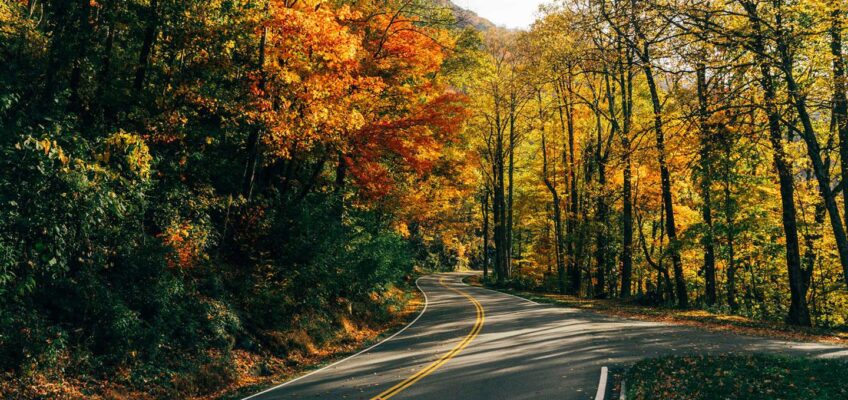 Tennessee highway during the fall. Photo by TNVacation.com.