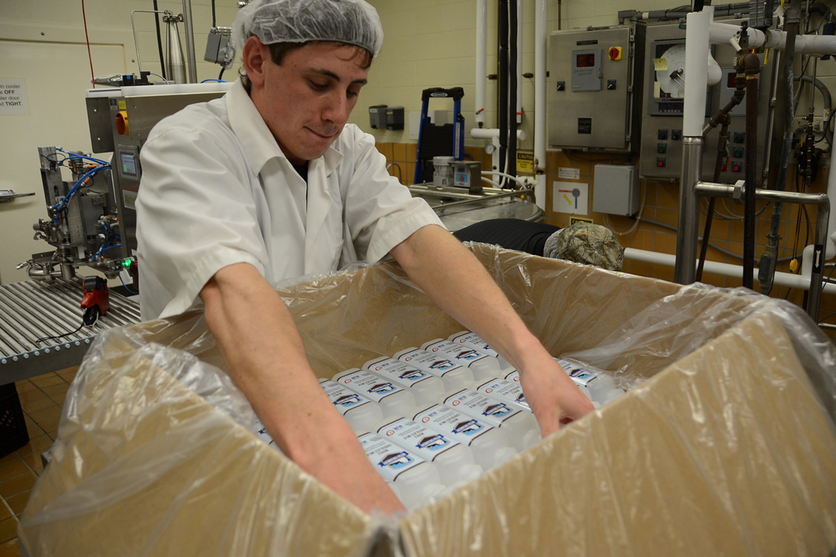 MTSU student worker Jacob Wade, a sophomore business supply chain management major from Bell Buckle, Tenn., grabs chocolate milk containers to load into the bottling machine at the MTSU milk processing plant March 25 inside the Stark Agribusiness Center on campus. (MTSU photo by Jimmy Hart)