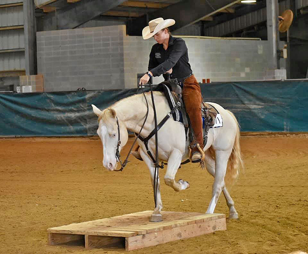 Junior Lindsay Gilleland of Powder Springs, Ga., competed for the MTSU equestrian and stock horse teams that qualified for national competitions, which were canceled because of the coronavirus pandemic. (Submitted photo by Andrea Rego)