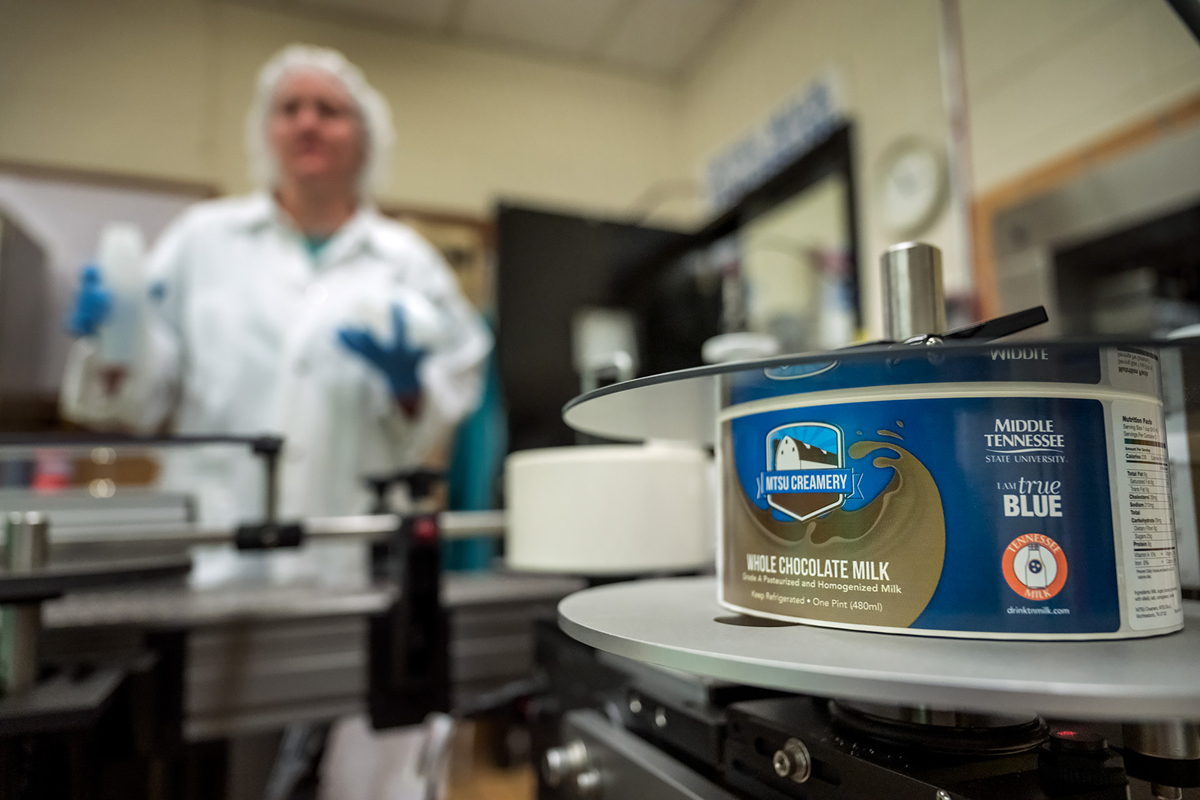 The new MTSU Creamery chocolate milk label comes off the new labeler, featuring larger MTSU, I Am True Blue and Tennessee Milk logos. Recent MTSU graduate Chalyce Gammon, in background, waits for labels to come to her on new round bottles. (MTSU file photo by J. Intintoli)