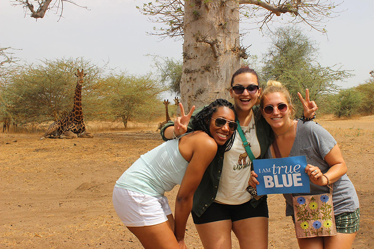 of some giraffes in Bandia Animal Park in the African nation of Senegal. (Submitted photo)