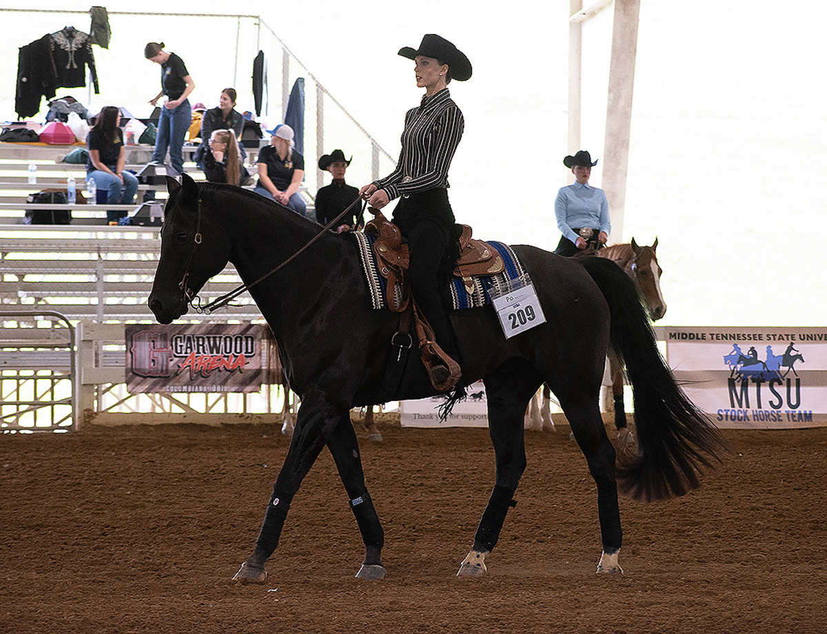 Junior Taylor Meek led the Blue Raider riders by winning two individual championships and three reserve champion (runner-up) finishes during the recent YEDA Western Collegiate Celebration, hosted by the Youth Equestrian Development Association recently in Cleveland, Tenn. (Submitted photo by Dawn Nieman)