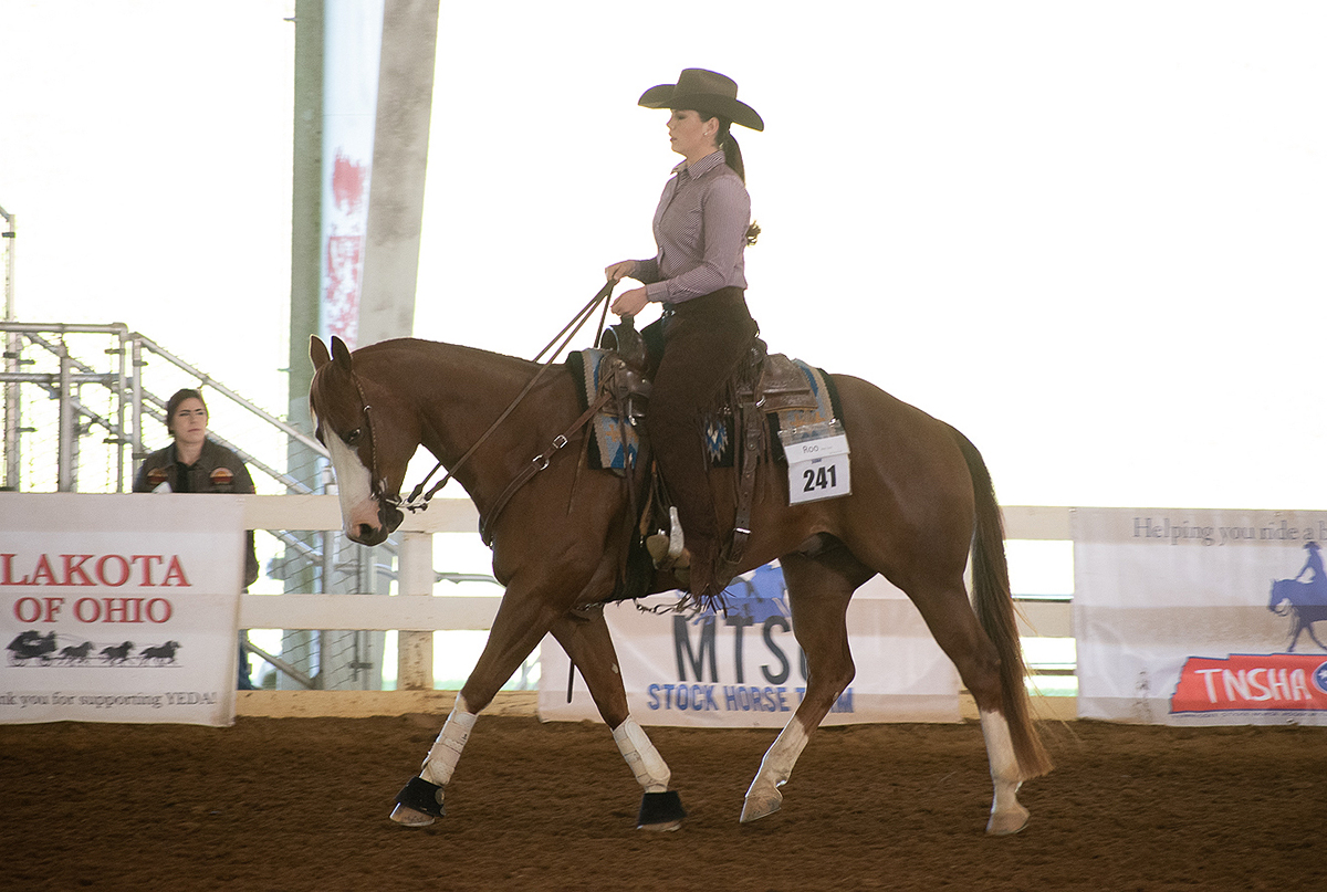 MTSU sophomore rider JoBeth Scarlett of New Market, Tenn., rode her horse to two individual championships, one reserve title and a third-place finish at the YEDA Western Collegiate Celebration, hosted by the Youth Equestrian Development Association recently in Cleveland, Tenn. (Submitted photo by Dawn Nieman)
