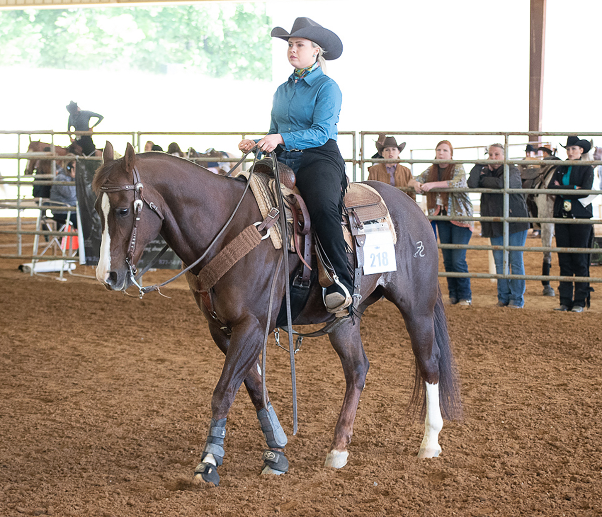 MTSU junior Zee Petree of Knoxville, Tenn., earned an individual championship and two fourth-place finishes at the 2021 YEDA Western Collegiate Celebration, hosted by the Youth Equestrian Development Association recently in Cleveland, Tenn. (Submitted photo by Dawn Nieman)