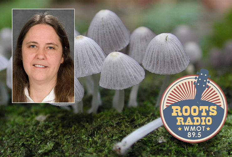 Dr. Sarah Bergemann, top left, a professor of biology, is the guest on the next “MTSU On the Record” radio program where she discusses her participation in the discovery of life never before documented in the annals of scientific research. Along with researchers from the University of California, Berkeley, Bergemann collected hundreds of samples of fungi on the Polynesian island of Mo’orea about 11 miles northwest of Tahiti in 2008 and 2009. Her interview with host Gina Logue’s will air from 9:30 to 10 p.m. Tuesday, May 3, and from 6 to 6:30 a.m. Sunday, May 8, on WMOT-FM Roots Radio 89.5 and www.wmot.org. (MTSU photo of Bergemann; mushroom photo by Todd Osmundson; WMOT logo also shown)