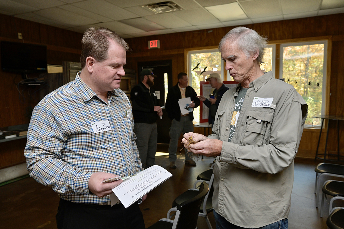 Edward “Ed” Fletcher, right, of Banner Elk, N.C., discusses Goldenseal, an herb in the buttercup family commonly used in supplements in the U.S., to Adam Swan earlier this fall during the Middle Tennessee State University International Ginseng Institute Ginseng Workshop and Demo Day at Barfield Crescent Park’s Wilderness Station in Murfreesboro, Tenn. Fletcher donated live Goldenseal roots and taught participants how to plant them properly. (MTSU photo by Andy Heidt)