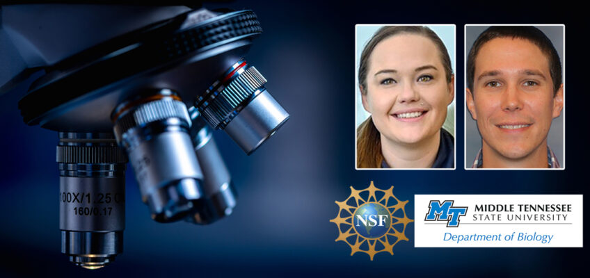 Middle Tennessee State University assistant biology professors Liz Barnes and Donny Walker both recently landed prestigious, highly competitive National Science Foundation Faculty Early Career Development Program grants, a major accomplishment for them and evidence of the university’s growing research efforts. (MTSU graphic illustration by Stephanie Wagner)