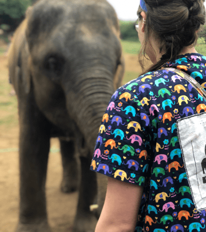 A girl walks toward an elephant