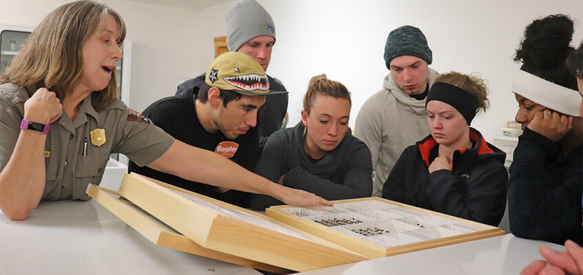 Great Smoky Mountain National Park entomologist Becky Nichols, left, talks about the diversity of fireflies in the park and how she is responsible for predicting the timing of the annual synchronous fireflies viewing event in the park. She is shown with MTSU students Luke Torres, James Beckner, Haven Poore, Cody Keck, Bekkah Riley and Infiniti Bristol during the first week of “SmokyMtnU” for the students recently at the park. (MTSU photo by Ashley Morris)