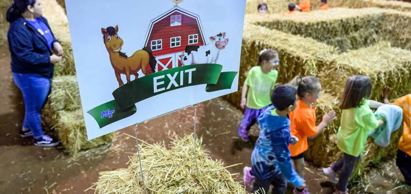 Area elementary school children enjoy an “amazing” experience in a maze made out of hay bales Tuesday, April 12, during the Ag Ed Spring Fling at the MTSU Tennessee Livestock Center. Youngsters learned about life on a farm and all agriculture has to offer. (MTSU photo by J. Intintoli)
