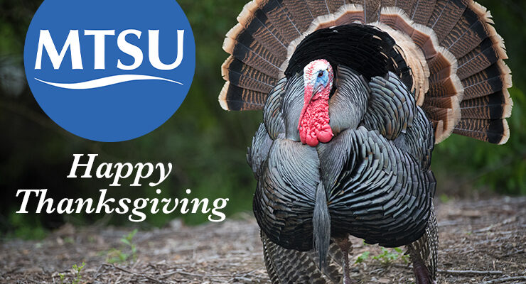 Thanksgiving graphic promo 2023