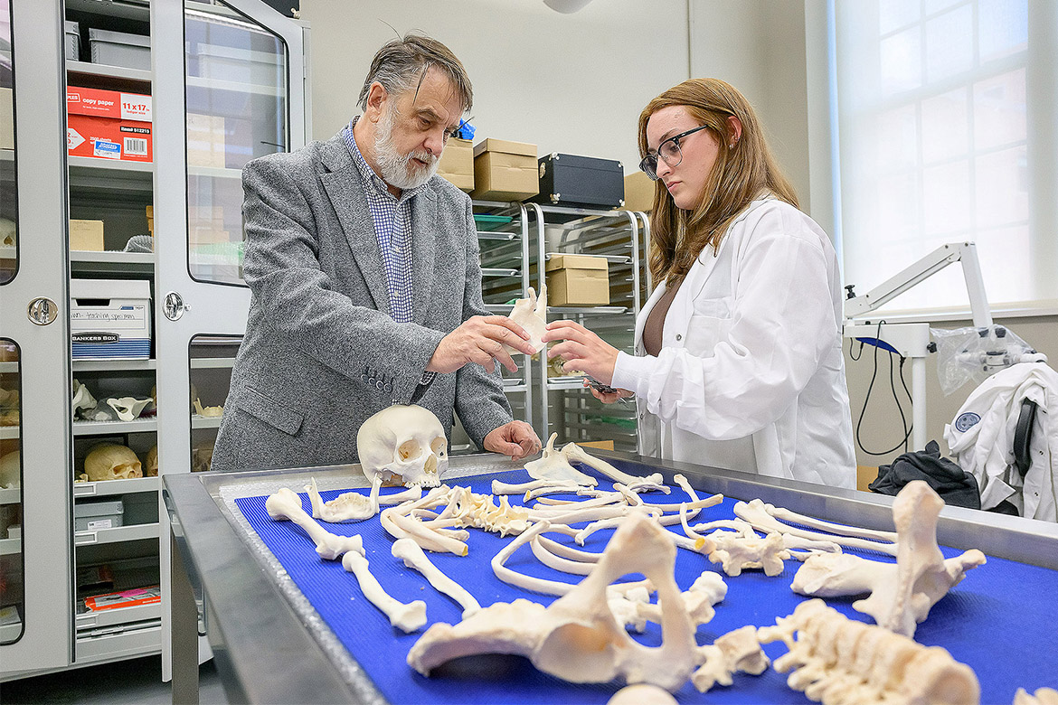 Thomas Holland, left, director of the Forensic Institute for Research and Education at Middle Tennessee State University, talks with senior Rose Raymer as they sort through bone specimens in the FIRE laboratory on campus in Murfreesboro, Tenn. Raymer spent the summer at Offutt Air Force Base in Omaha, Nebraska, assisting U.S. Department of Defense POW/MIA Accounting Agency forensic anthropologists on a World War II disinterment. (MTSU photo by Andy Heidt)