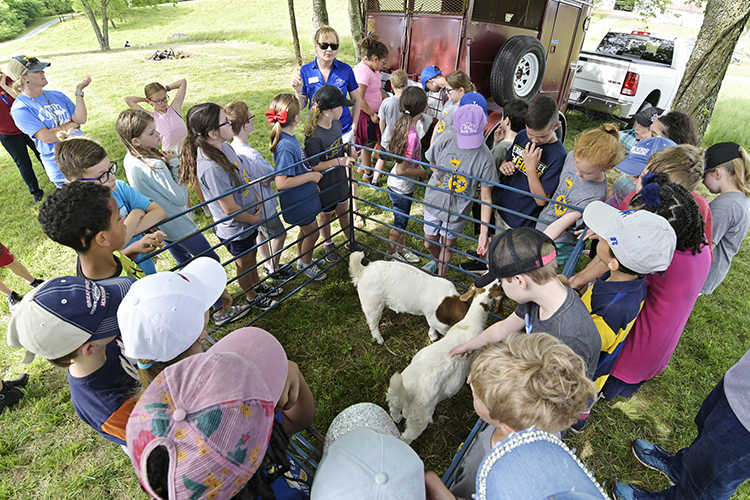 Third graders from the Murfreesboro City Schools learn about goats at MTSU's Experiential Learning and Research Center Wednesday, May 8, during the school system's "Day on the Farm" visit to the university's farm in Lascassas, Tenn. The trip is part of the school system's "Farm2School" initiative as well as a longstanding educational partnership with MTSU. (MTSU photo by Andy Heidt)