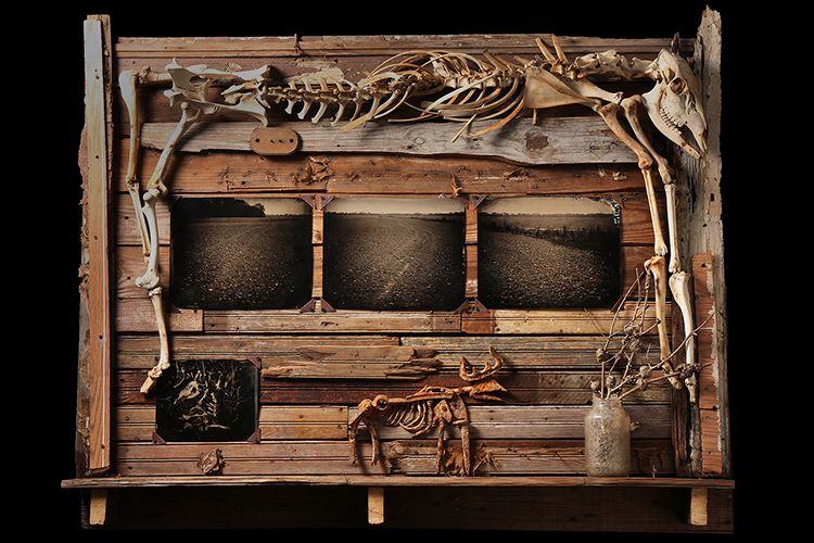 The mixed-media piece, “You May Bury My Body,” by photojournalist and MTSU alumnus Bill Steber, whose current exhibit "Deep Roots: Evocations of the Mississippi Blues," pays homage to legendary blues musician Robert Johnson. In the center of a frame fashioned from salvaged wood is a trio of tintype images of a ploughed field where once stood the home where Johnson died in 1938 in Greenwood, Mississippi. There is a jar filled with dirt from the site and dead tree branches. Across the top is a reassembled deer skeleton. (Photo courtesy of Bill Steber)