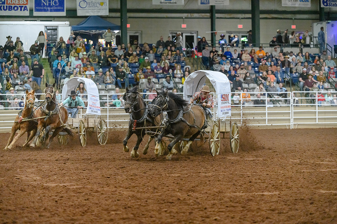 Horse-drawn chuck wagon races were among the fan favorites during the March 2023 CFRC Rodeo, held at Middle Tennessee State University’s Tennessee Miller Coliseum and hosted by The Community Foundation of Rutherford County. Bareback riding, saddle bronc riding, calf roping and more will be showcased during this year’s rodeo, Friday and Saturday, March 1-2, at Miller Coliseum, 304B W. Thompson Lane, in Murfreesboro. (MTSU file photo by James Cessna)