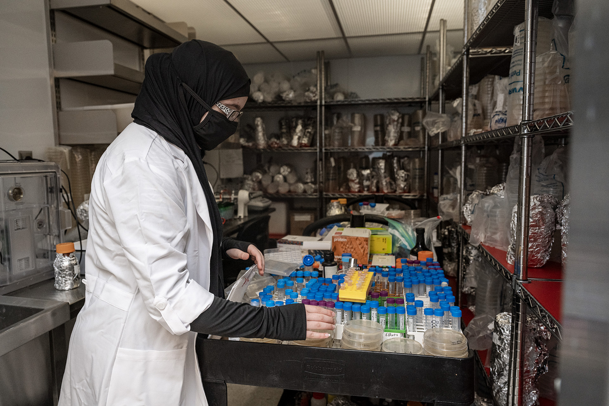Fatimah Alnassari performs research in an MTSU biology lab in the Science Building. She is among triplets who are high school students in dual enrollment at MTSU. They are on a pre-med pathway. (MTSU photo by Andy Heidt)