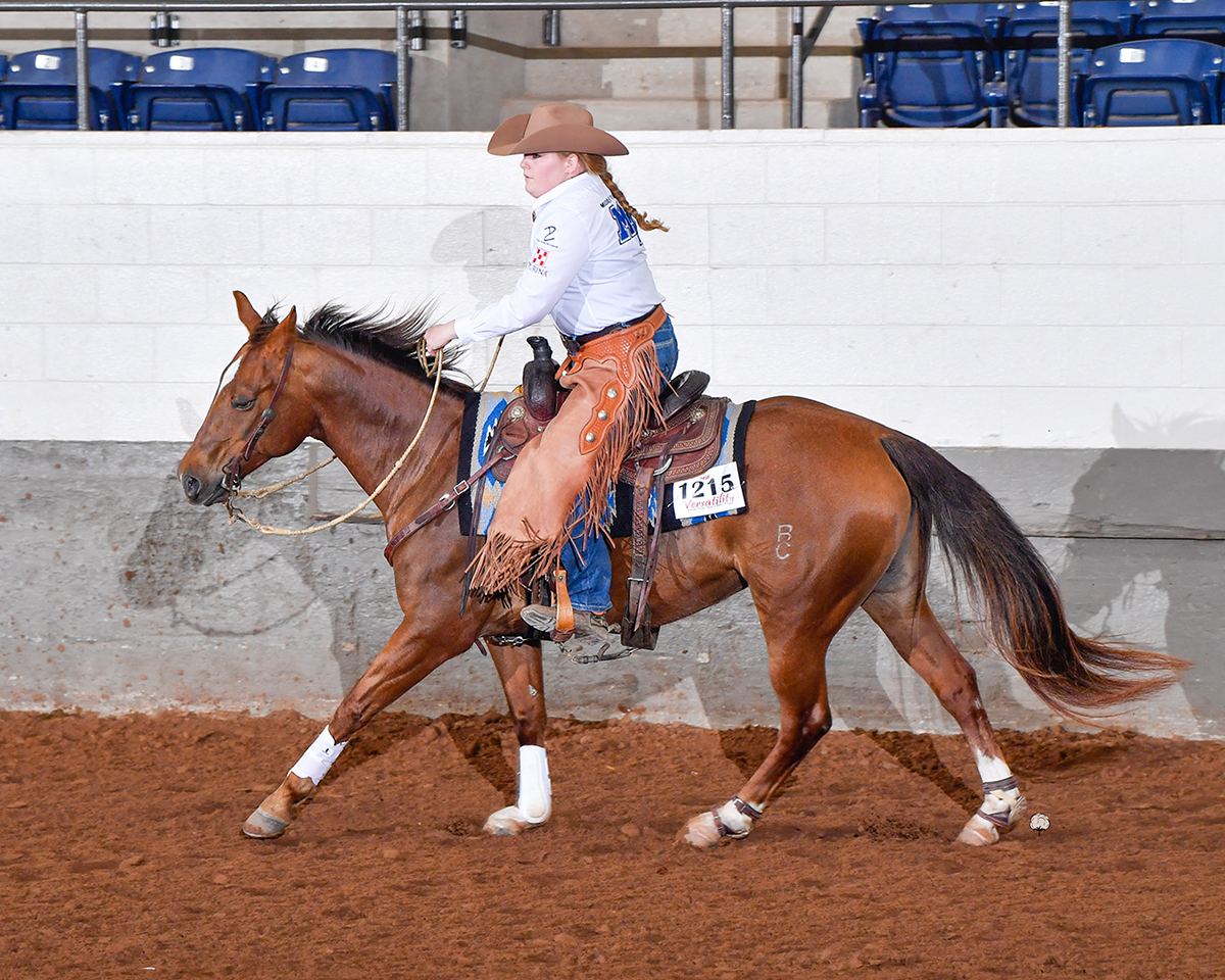 Riding BC Pennys From Tari, Jordan Dillenbeck, a junior horse science major from Murfreesboro, Tenn., finished as National Novice Pleasure Champion and National Novice Reserve Champion Cow Horse in the National Reserve Champion, Novice division at the 2021 ASHA National Show April 16-17 in the Nolan County Coliseum in Sweetwater, Texas. (Submitted photo by High Cotton Promotions)