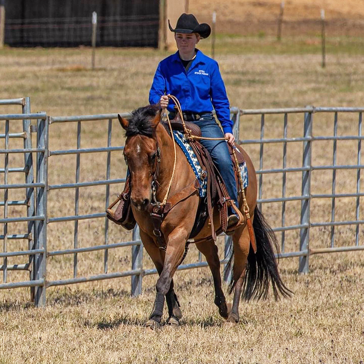 Louann Braunwalder, a freshman fermentation science major from Lascassas, Tenn., rode Twentyeventwister to the ASHA National Youth Pleasure & Reining Championship in the National Champion, Youth 14-18 division April 16-17 in the Nolan County Coliseum in Sweetwater, Texas. (Submitted photo by Gary Cox)