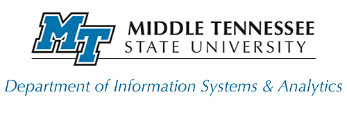 Department of Information Systems and Analytics logo