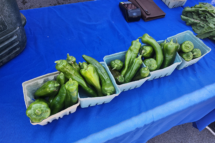 Fresh produce like this grown by Middle Tennessee State University’s Small Farms will be sold at the weekly Saturday Market on the square in downtown Murfreesboro, Tenn. For the second straight year, MTSU’s Small Farms is a full-time vendor at the market, which will feature 85 food, crafts and specialty vendors this year. (MTSU photo by Jimmy Hart)