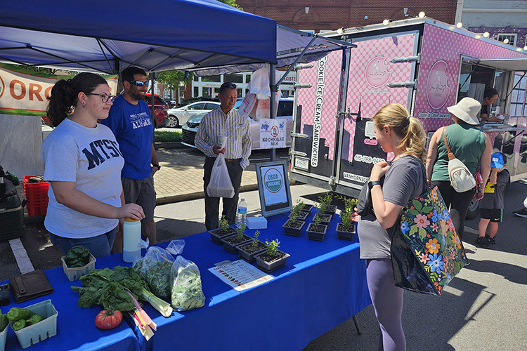 A customer looks at products grown and sold by Middle Tennessee State University’s Small Farms at the weekly Saturday Market on Saturday, May 17, on the square in downtown Murfreesboro, Tenn. For the second straight year, MTSU’s Small Farms is a full-time vendor at the market, which will feature 85 food, crafts and specialty vendors this year. (MTSU photo by Jimmy Hart)