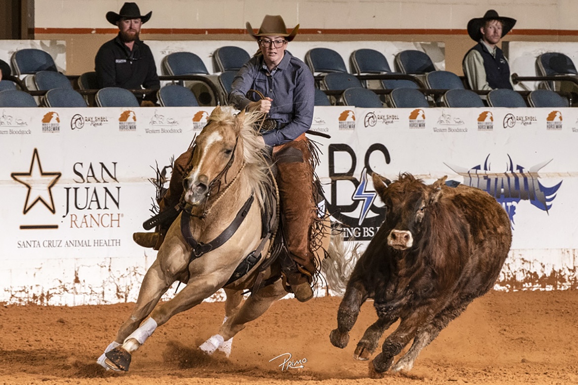 Riding a stock horse named The Oakies Gotta Gun in the cow work category, Middle Tennessee State University competitor Kenlee West of Tuscaloosa, Ala., earns points toward finishing seventh in the Limited Non-Pro Overall All-Around during the 2025 2025 National Intercollegiate Ranch and Stock Horse Association Division 2 national event in Amarillo, Texas, in April. Blue Raider riders earned the national championship. (Photo by Primos Morales)