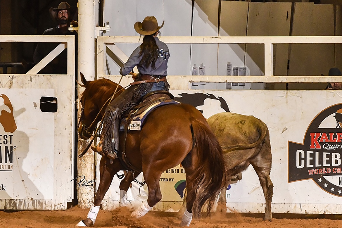 Aboard a stock horse named Winkle Lena, Middle Tennessee State University senior agribusiness major Simone Allen of Mt. Juliet, Tenn., rode to a third-place showing in Novice Overall All-Around during the 2025 National Intercollegiate Ranch & Stock Horse Association Division 2 national championship competition in April in Amarillo, Texas. The Blue Raiders earned the team national championship. (Photo by Primos Morales)