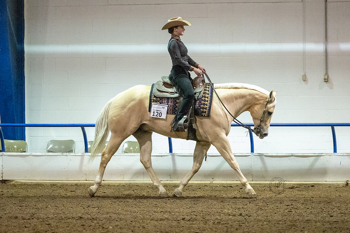 Jordan Martin, riding a horse named Oliver Herrin, competes during the Intercollegiate Horse Shows Association Western Semi-Finals March 22-23 at the Tennessee Livestock Center in Murfreesboro, Tenn. Martin, a junior horse science major from Murfreesboro, enjoyed a hugely successful event, earning overall High Point honors for Zone 5 Region 1, Reserve Champion in Individual Horsemanship and third- and fourth-place finishes in other team and individual events, qualifying her for IHSA Nationals in May. (Submitted photo by Hanna Price Photography)