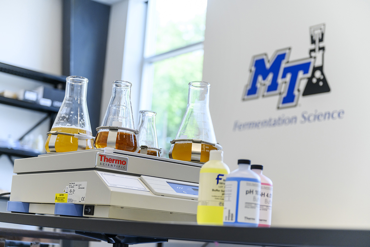 Americas virtual international seminar at 4:30 p.m. Thursday, June 3. (MTSU file photo by J. Intintoli)