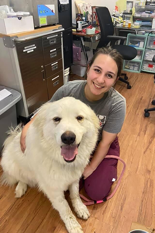 MTSU senior biology major Mariana de Aruajo Bryan, a Brazil native and current Murfreesboro, Tenn., resident, works at Big Fluffy Dog Rescue in Murfreesboro, the type of work she hopes to continue after graduation in spring 2022. (Submitted photo)