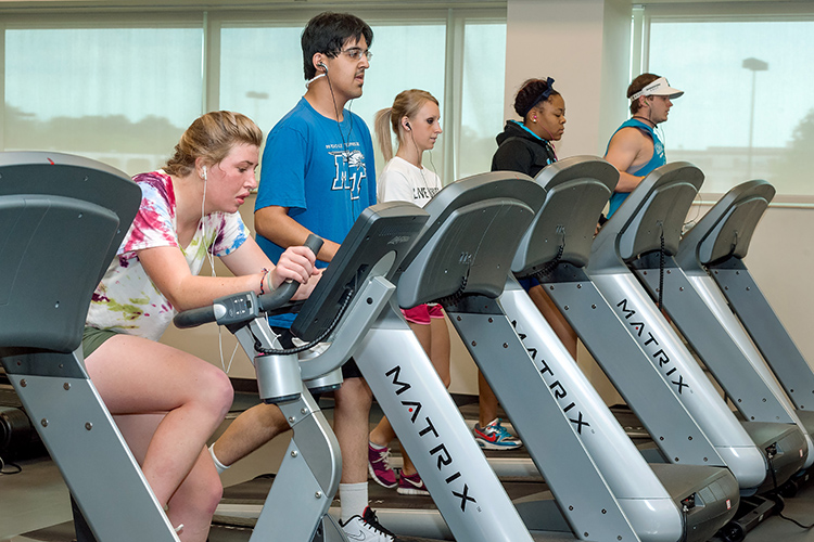 Students work the exercise machines at the Campus Recreation Center at MTSU. (MTSU file photo by J. Intintoli)