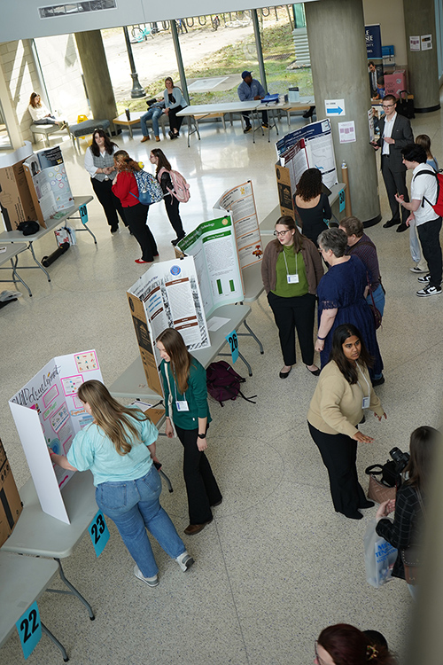 A group of students share their research during the poster presentation session at the 2025 Tennessee Collegiate Honors Council two-day annual conference hosted Feb. 28-March 1 on the Middle Tennessee State University campus in Murfreesboro, Tenn. (MTSU photo by Robin E. Lee)