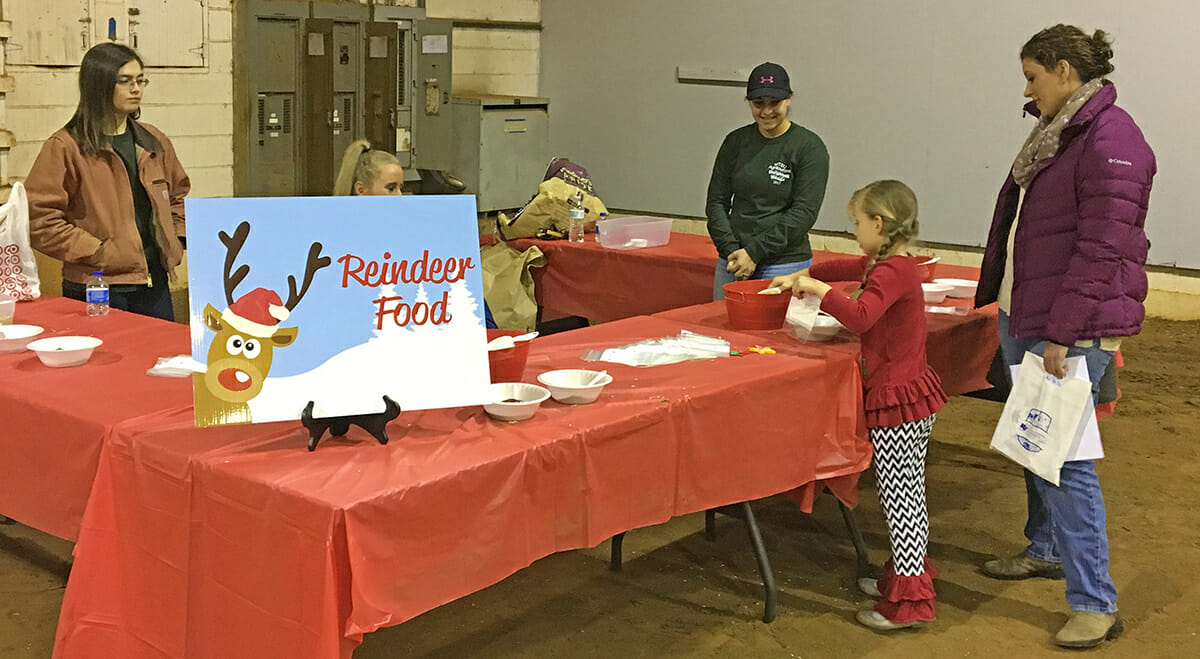 A child collects reindeer food