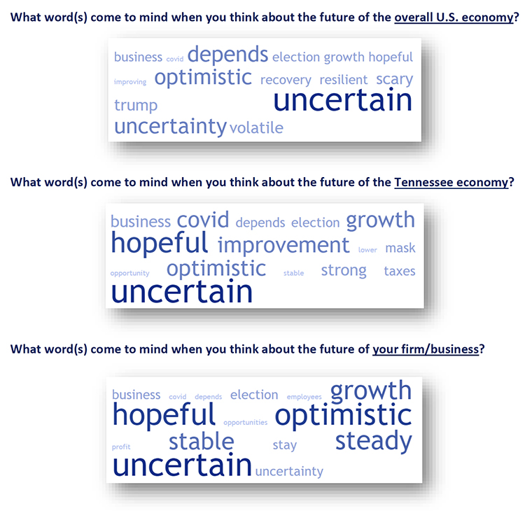 This word cloud shows the words most often given by respondents to the July Tennessee Business Barometer survey when asked to report the word, or words, that came to mind when thinking about the future of the U.S. economy, Tennessee economy and their businesses or firms. (Courtesy of the MTSU Office of Consumer Research)