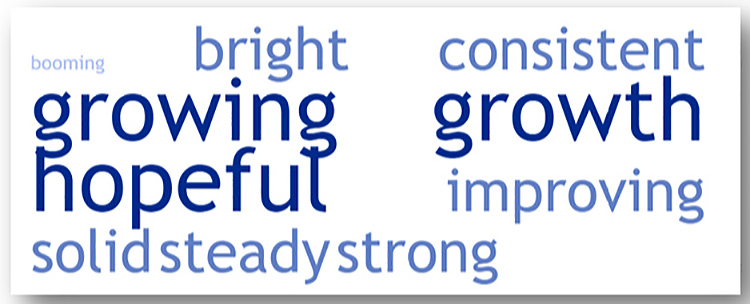 This word cloud shows the 10 most frequently used words from respondents surveyed for the latest Tennessee Business Barometer Index about the state of the Tennessee economy. The darker the word, the more frequently it was cited. (Courtesy of the MTSU Office of Consumer Research)