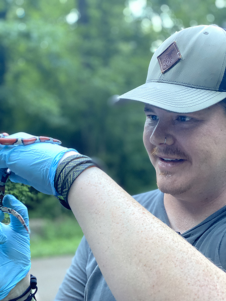 Cody Godwin, a Tennessee Tech University doctoral student, helps sample snake microbiomes as part of a research project with Donny Walker, Middle Tennessee State University assistant biology professor, in the summer of 2018 in West Tennessee. (Photo courtesy of Donny Walker)