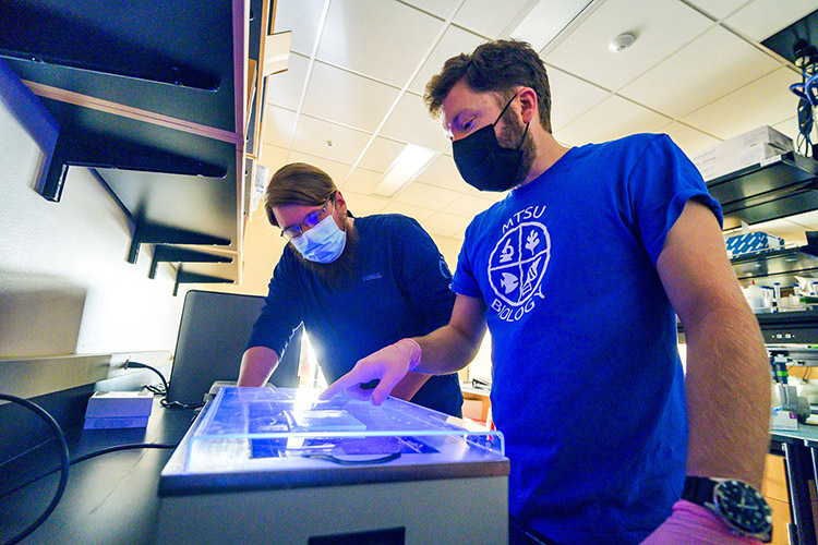 Middle Tennessee State University research assistant professor Cole Easson, right, analyzes marine sponge samples with MTSU graduate biology student Jeremy Smith at the university’s Science Building on Sept. 27, 2021, as part of Easson’s research project funded by a National Science Foundation grant. (MTSU photo by Andy Heidt)