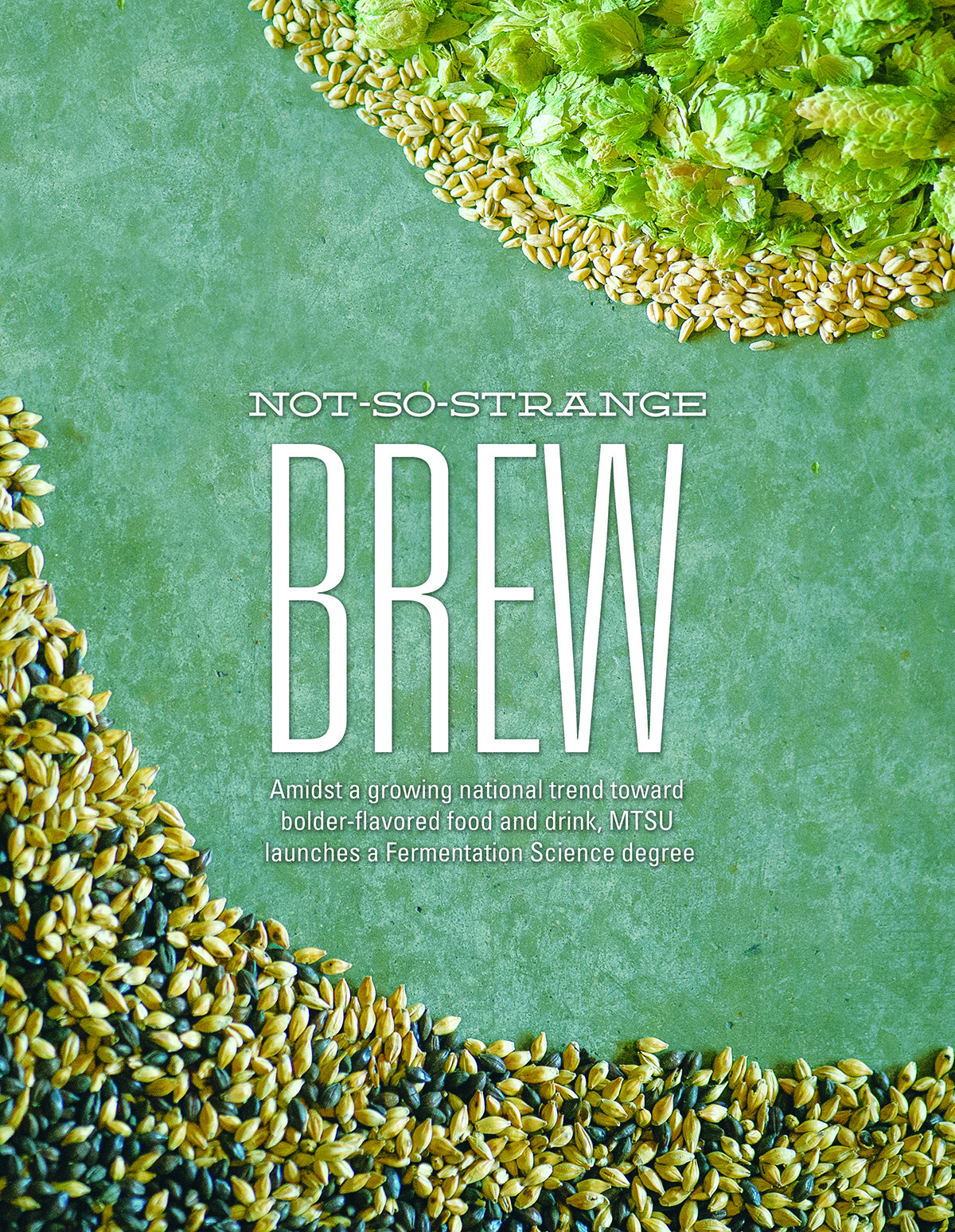 Steel Barrel Brewing Company Fermentation Science