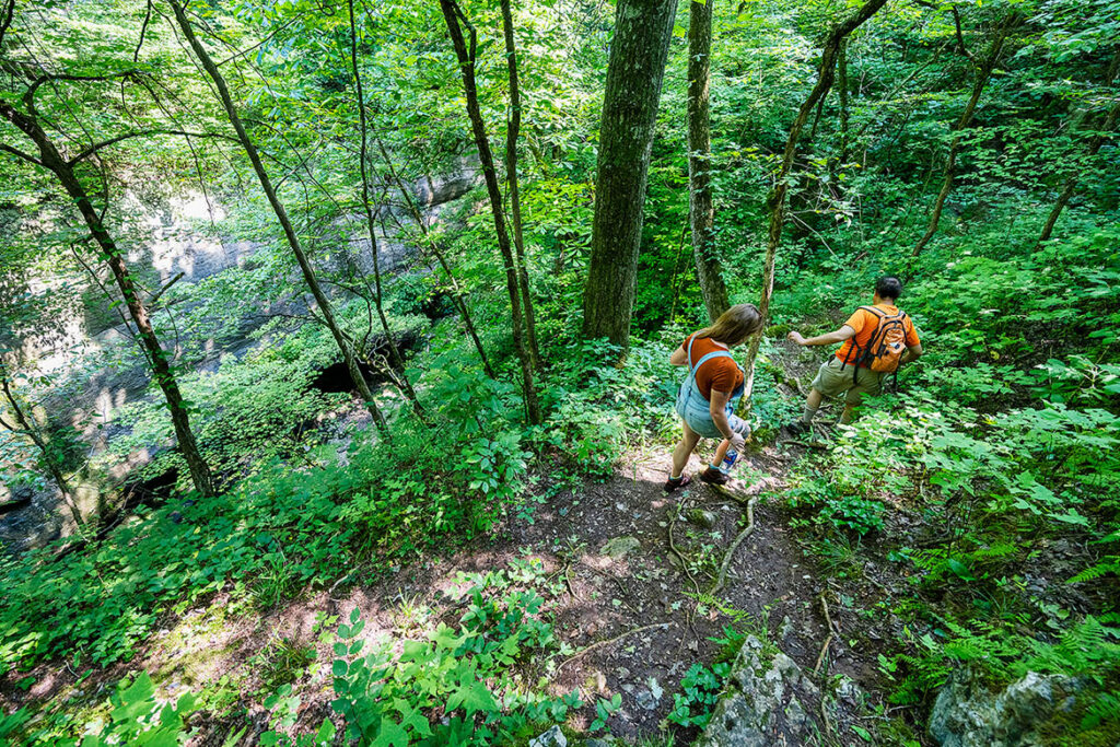 Michelle Moore, Middle Tennessee State University undergraduate geosciences student, and Mark Abolins, MTSU geosciences professor, hike down to the entrance of Snail Shell Cave in Rockvale, Tenn., on July 23, 2021. (MTSU photo by Andy Heidt)