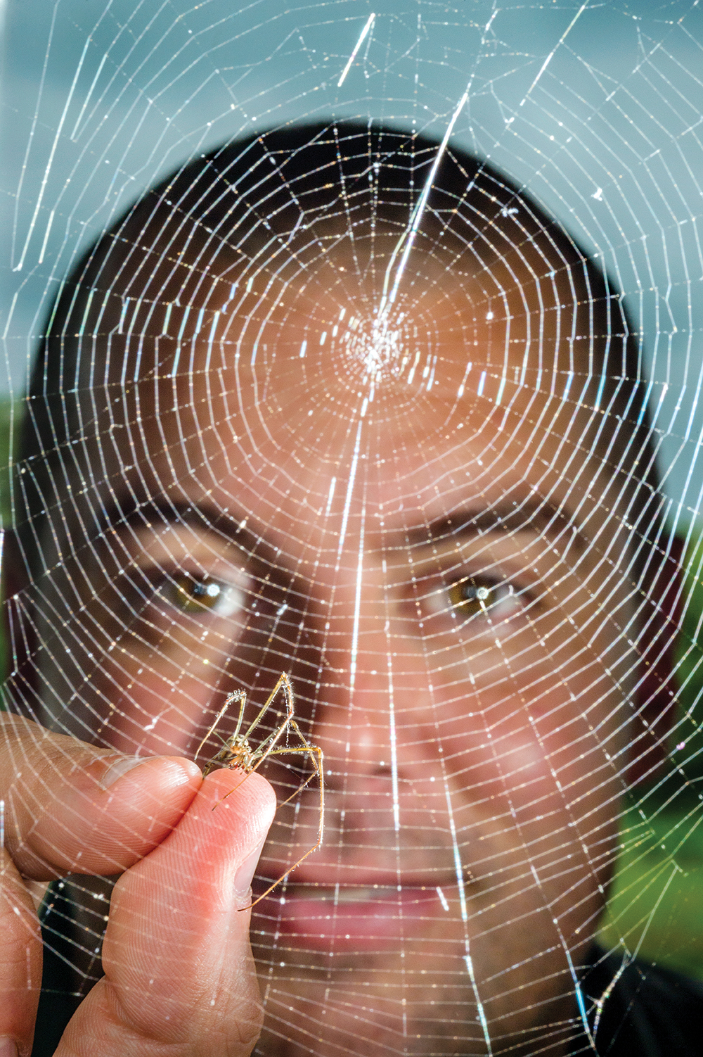 MTSU professor Ryan Otter gets up close with a long-jawed orb weaver spider as part of his environmental toxicology research following the 2008 TVA Kingston Fossil Plant coal fly ash slurry spill. (MTSU file photo by Andy Heidt)